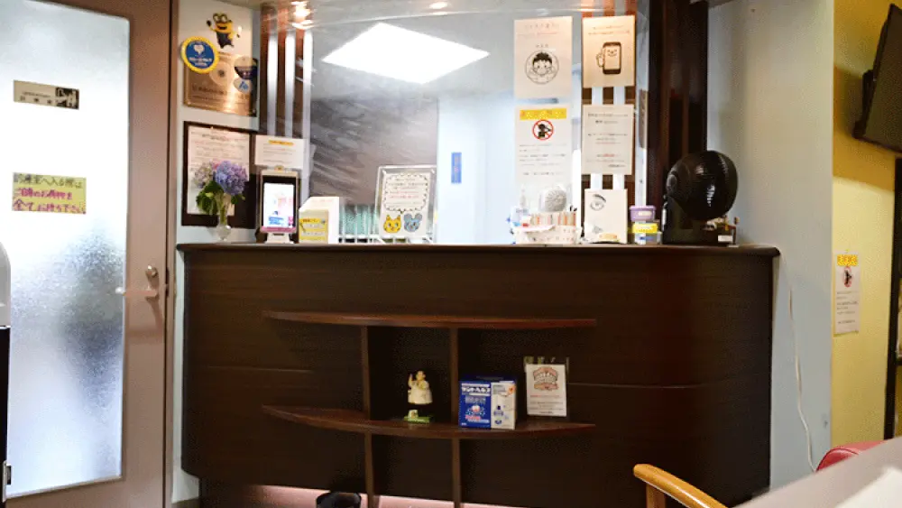 小泉歯科医院 紹介の画像