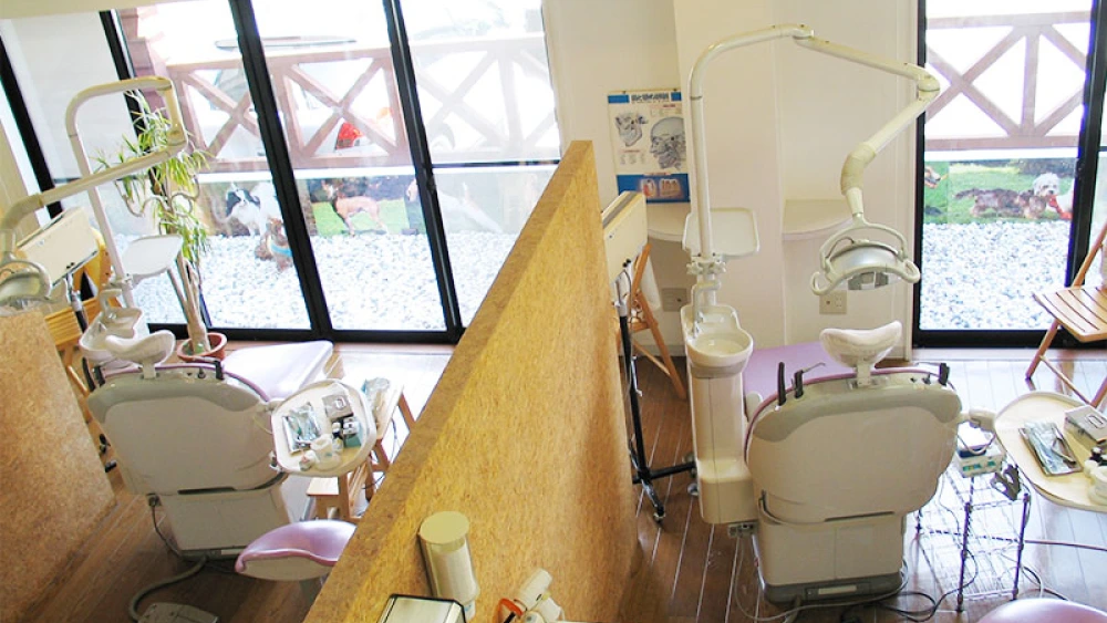 デンタル・オフィス・ケイ 特長の画像