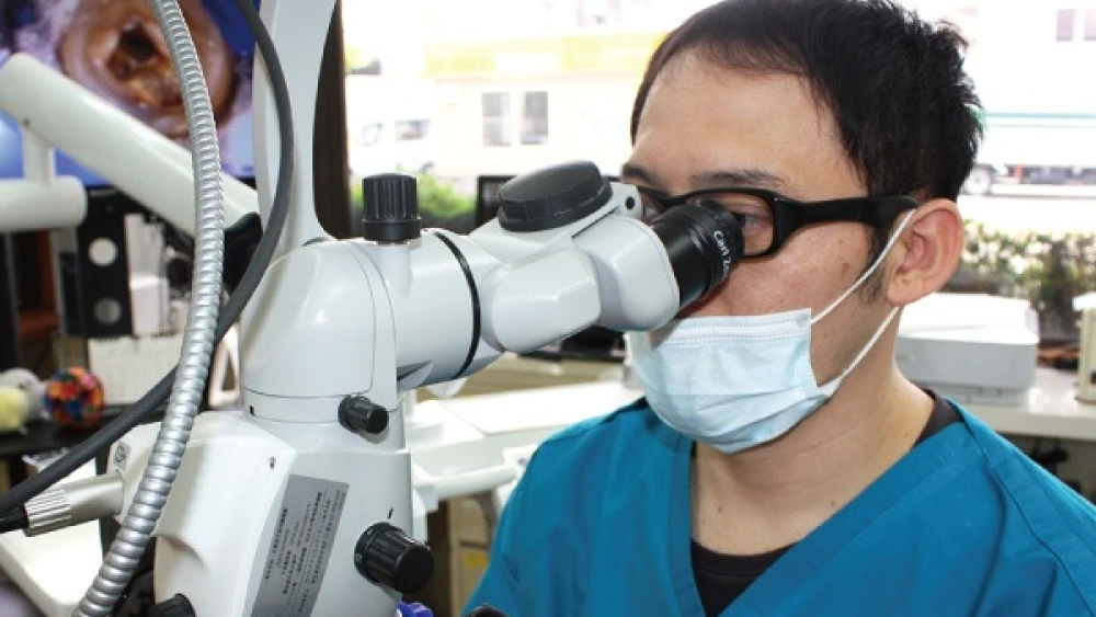 松本歯科医院 特長の画像