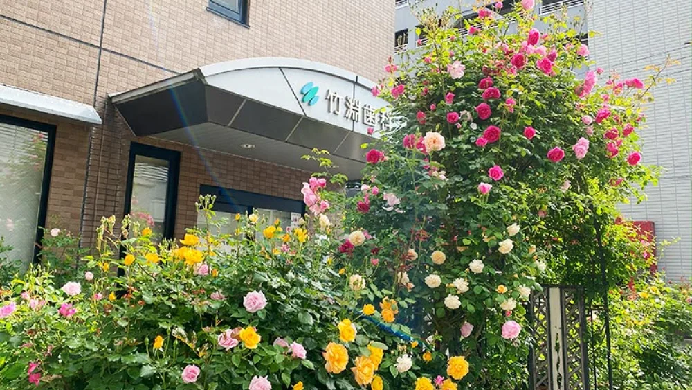 竹渕歯科医院 ホワイトニングの画像