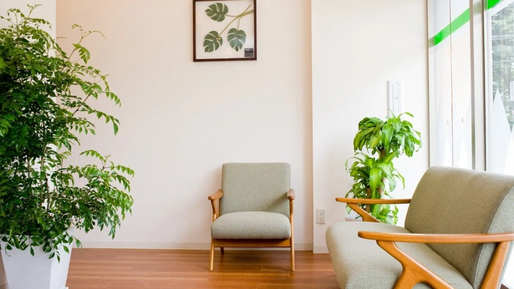 吉祥寺通り歯科クリニック 紹介の画像