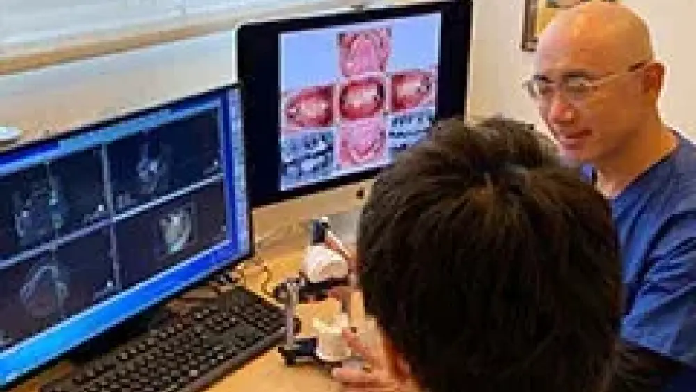 おか歯科 紹介の画像