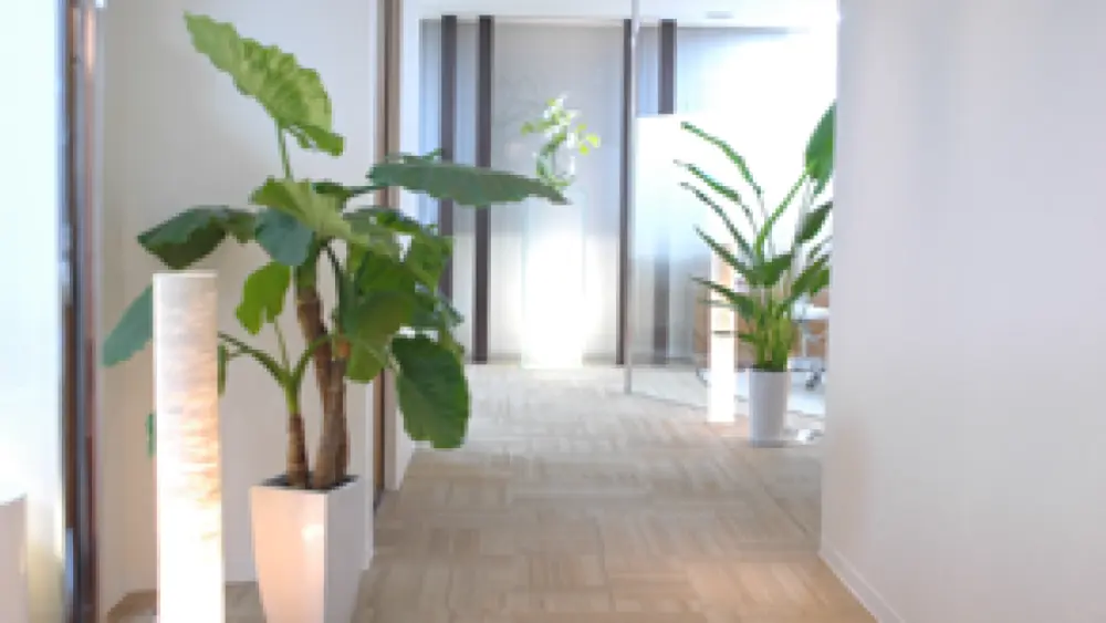 影山歯科医院 特長の画像