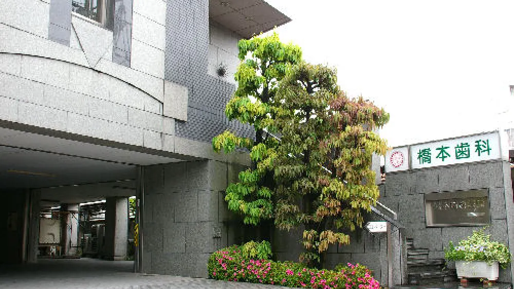 橋本歯科医院 セラミック治療の画像