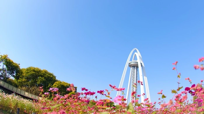 愛知県一宮市で審美歯科治療ができるおすすめ歯医者の画像