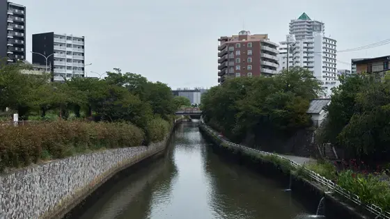 名古屋市北区で審美歯科治療ができるおすすめ歯医者の画像