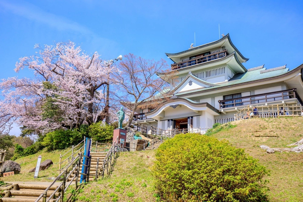 愛知県小牧市で審美歯科治療ができるおすすめ歯医者の画像