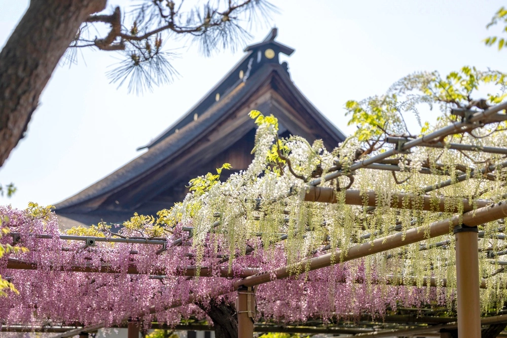 愛知県江南市で審美歯科治療ができるおすすめ歯医者の画像