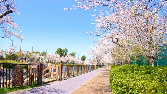 名古屋市瑞穂区で審美歯科治療ができるおすすめ歯医者の画像