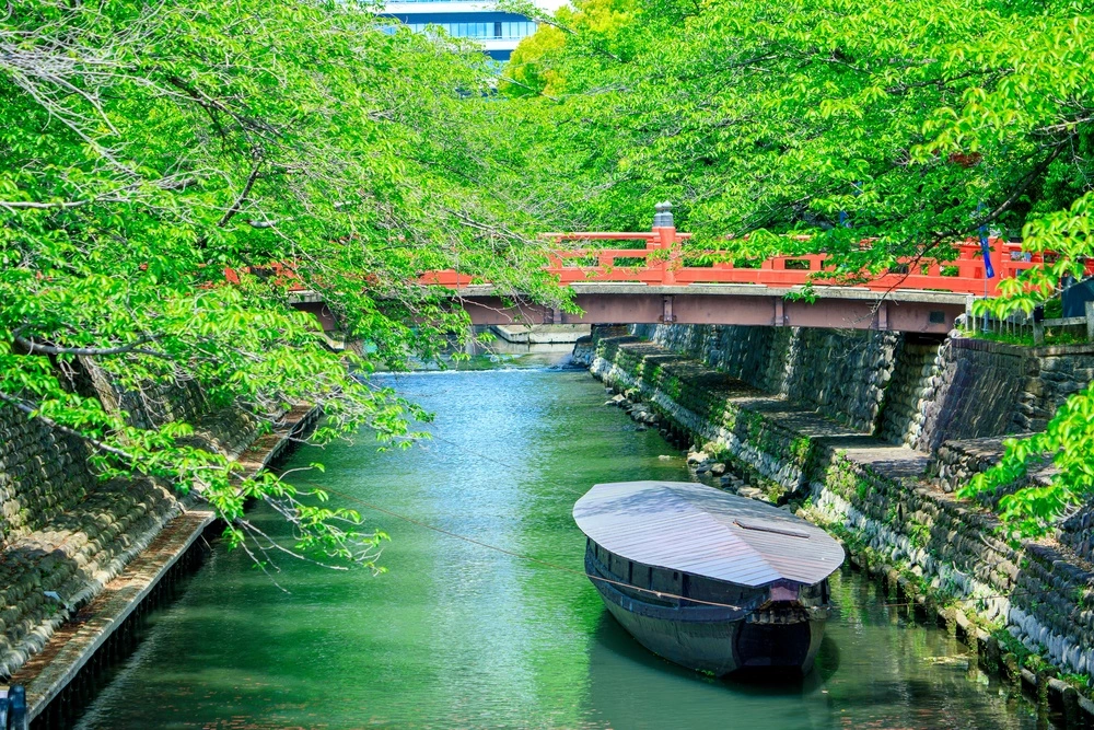 岐阜県大垣市の記事一覧の画像