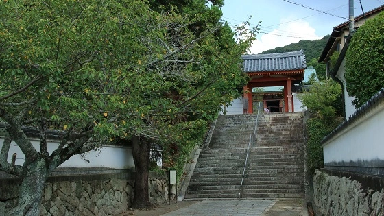 神戸市西区で審美歯科治療ができるおすすめ歯医者の画像