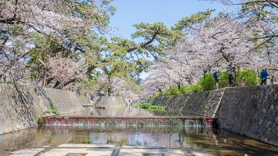 兵庫県西宮市で審美歯科治療ができるおすすめ歯医者の画像