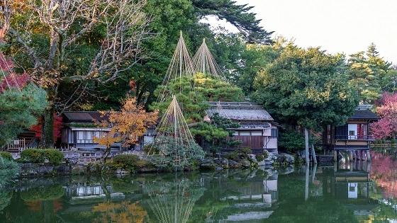 石川県金沢市で審美歯科治療ができるおすすめ歯医者の画像