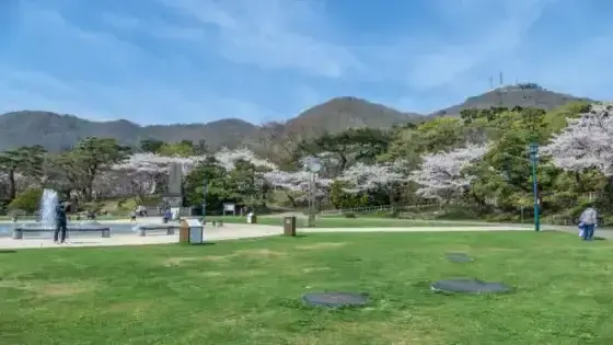 横浜市青葉区で審美歯科治療ができるおすすめ歯医者の画像