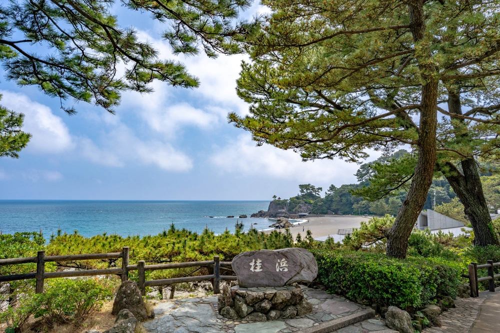 高知県高知市で審美歯科治療ができるおすすめ歯医者の画像