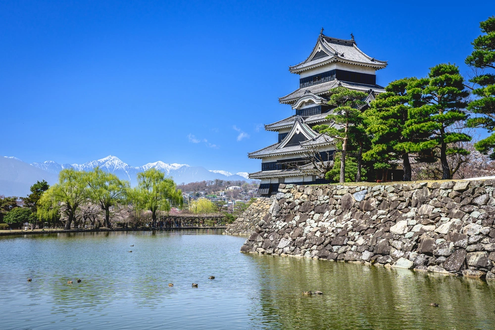 長野県松本市で審美歯科治療ができるおすすめ歯医者の画像