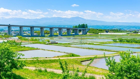 長野県佐久市で審美歯科治療ができるおすすめ歯医者の画像