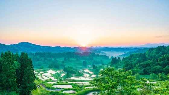 新潟県で審美歯科治療ができるおすすめ歯医者の画像