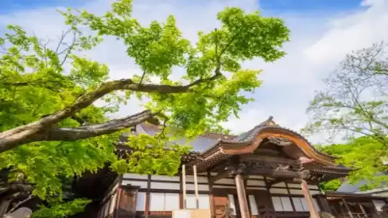 東京都調布市で審美歯科治療ができるおすすめ歯医者の画像