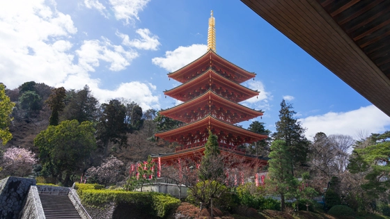 東京都日野市で審美歯科治療ができるおすすめ歯医者の画像