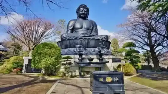 東京都板橋区で審美歯科治療ができるおすすめ歯医者の画像