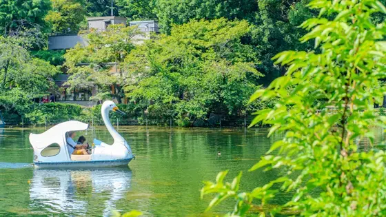 吉祥寺駅の記事一覧の画像