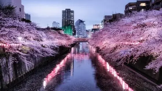 東京都目黒区で審美歯科治療ができるおすすめ歯医者の画像