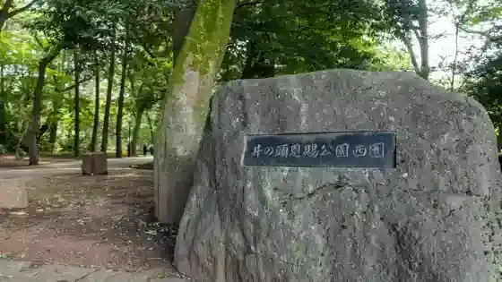 東京都武蔵野市で審美歯科治療ができるおすすめ歯医者の画像