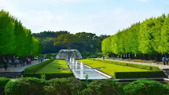 東京都立川市で審美歯科治療ができるおすすめ歯医者の画像