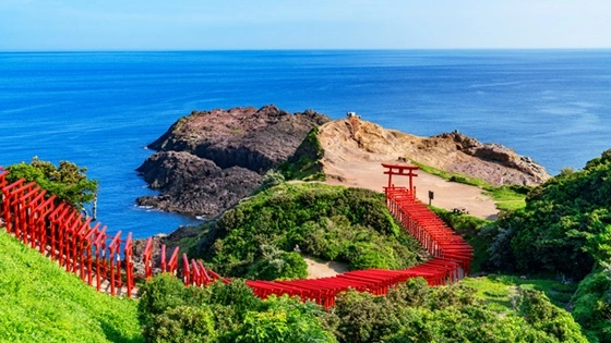 山口県で審美歯科治療ができるおすすめ歯医者の画像